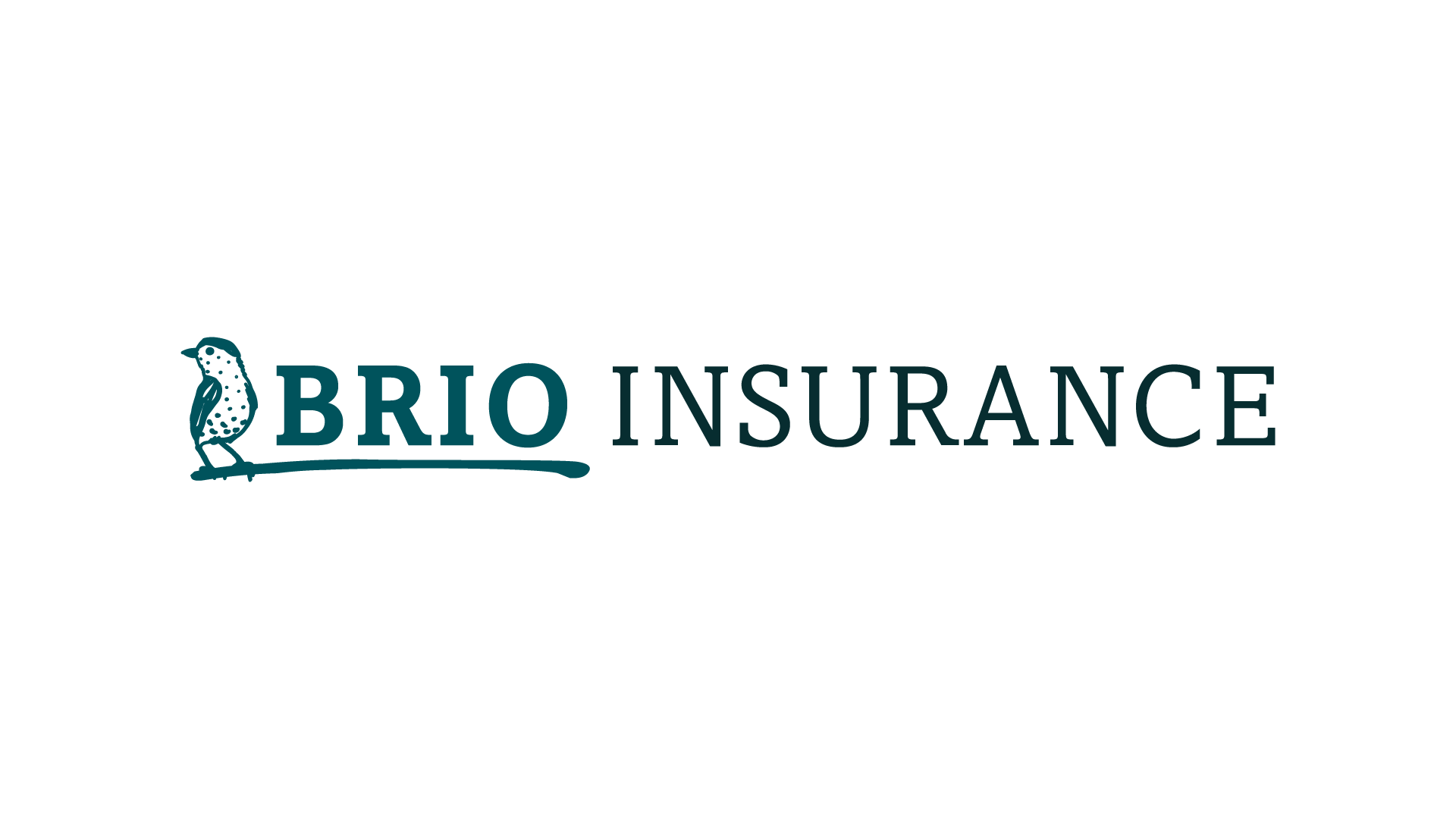 Brio Insurance